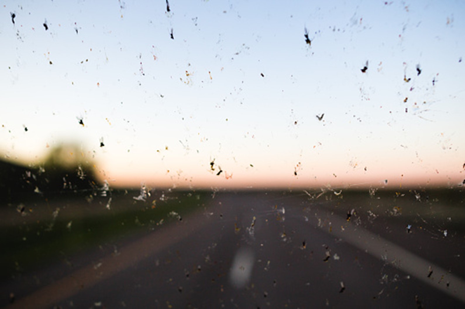 bug-free windshield washers
